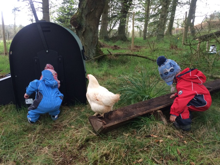 Fabulously Feral – a countryside&nbsp;childhood